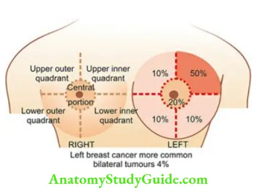 The Breast Topographic considerations in breast cancer.