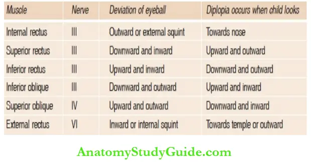 The Central Nervous System deviation Of Eye Ball Due To Paralysis