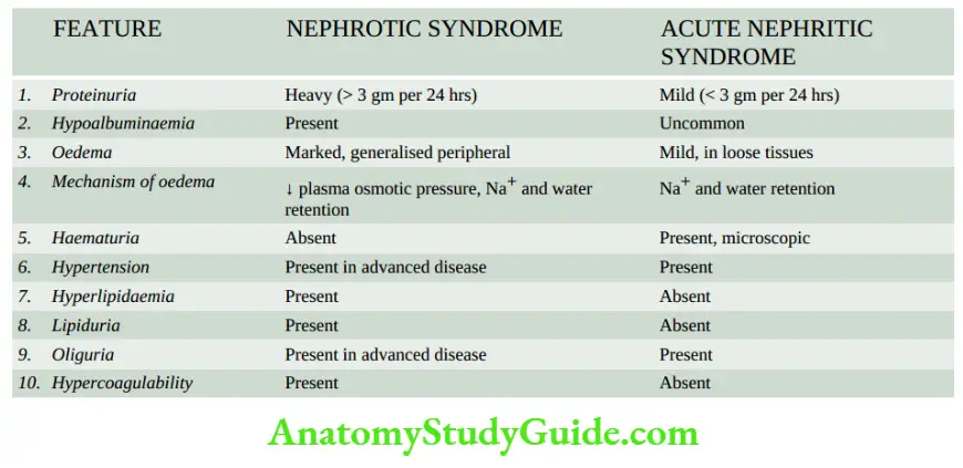 The Kidney and Lower Urinary Tract Contrasting features of acute nephritic and nephrotic syndromes.