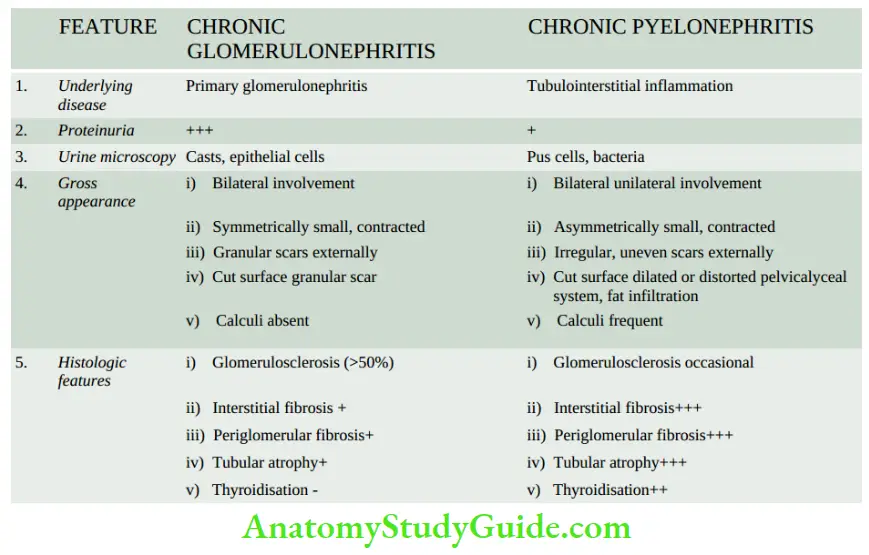 The Kidney and Lower Urinary Tract Distinguishing features between chronic glomerulonephritis and chronic pyelonephritis.