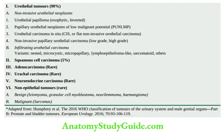 The Kidney and Lower Urinary Tract The 2016 WHO classification of urothelial tract.