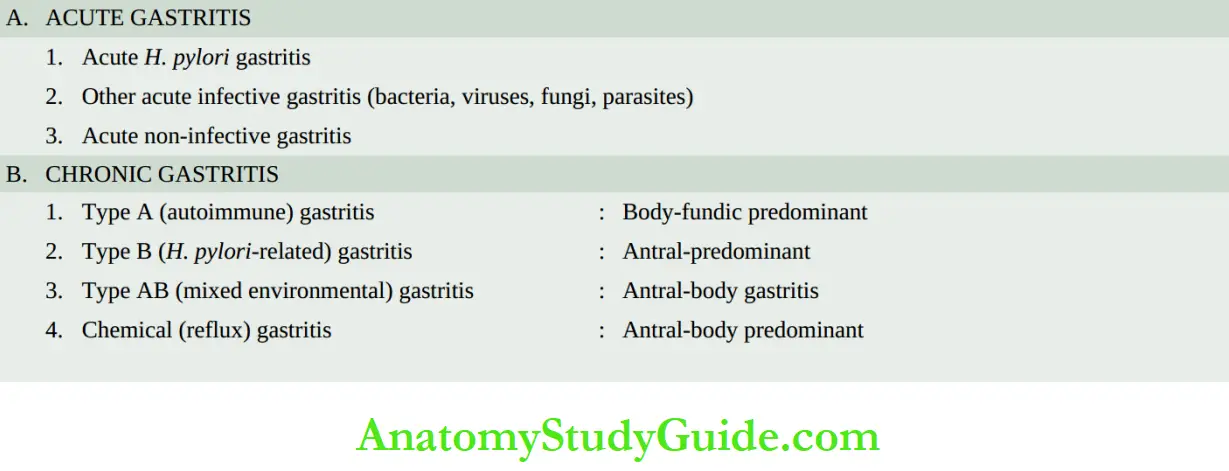 The Respiratory System Classification of gastritis