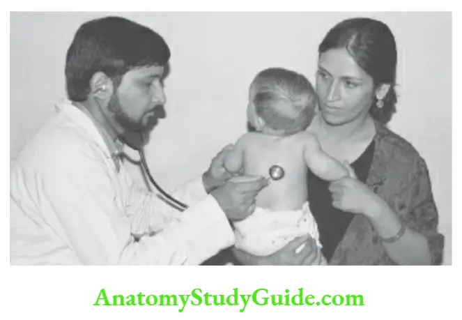 The Respiratory System Method for auscultation of chest in an infant