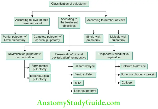 Vital Pulp Therapy Clasification Of Pulpotomy Flowchart