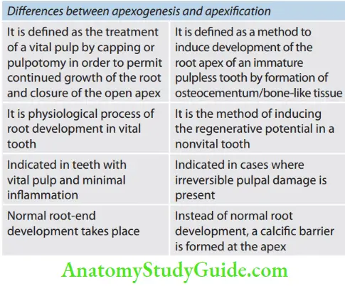 Vital Pulp Therapy Difference Between Apexogenesis And Apexification