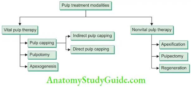 Vital Pulp Therapy Pulp Treatment Modalities