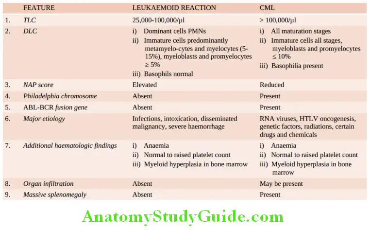 White Blood Cells Proliferations and Myeloid Neoplasms contrasting features of leukaemoid reaction and chronic myeloid leukaemia