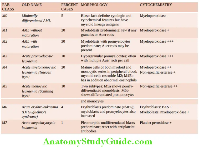 White Blood Cells Proliferations and Myeloid Neoplasms revised FAB classification of acute myeloblastic leukaemias
