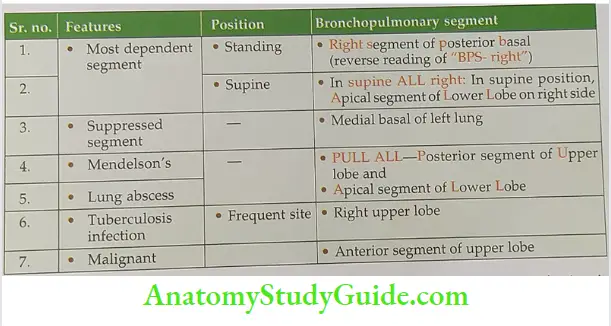 features and diseases of various bronchopulmonary segments.