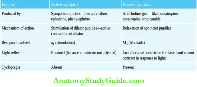 Autonomic Nervous System Active Mydriasis And Passive Mydriasis