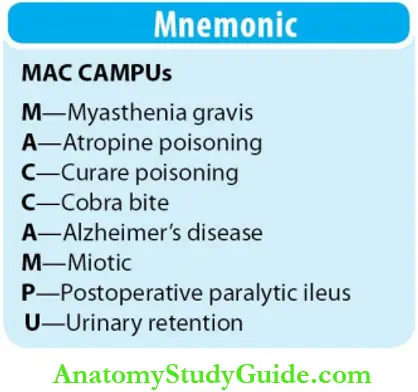 Autonomic Nervous System Mnemonic