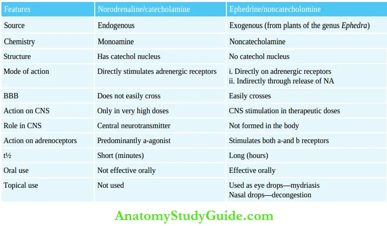 Autonomic Nervous System Noradrenaline And Ephedrine.