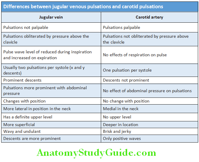Cardiology Diffrences between jugular venous pulsations and carotid pulsations