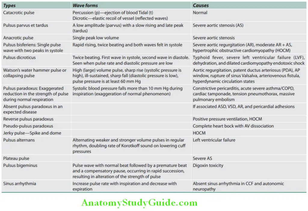 Cardiology Question and Answers - Anatomy Study Guide