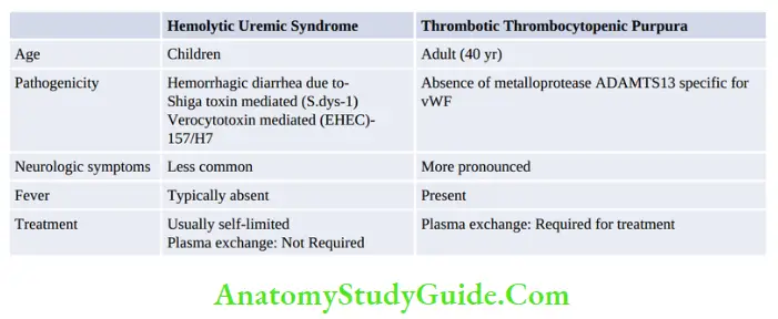 Enterobacteriaceae Hemolytic Uremic Syndrome Thrombotic Thrombocytopenic Purpura