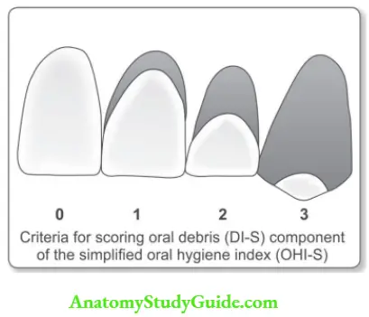 Epidemiology Self explanatory