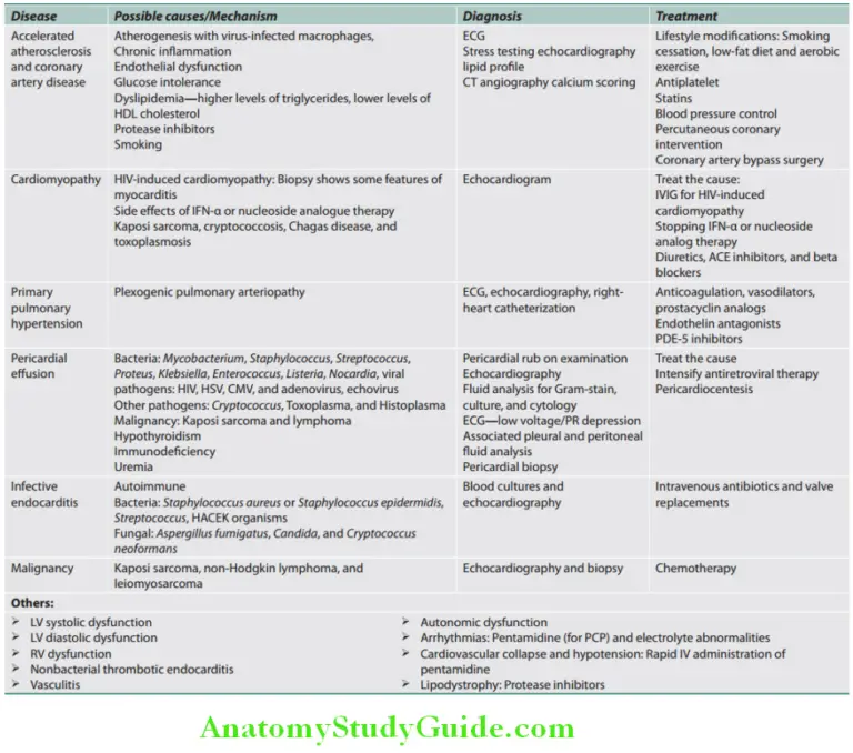 HIV Infection and AIDS Question and Answers - Anatomy Study Guide