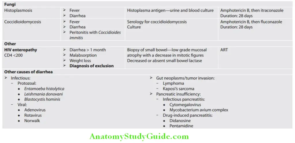 HIV Infection and AIDS Question and Answers - Anatomy Study Guide