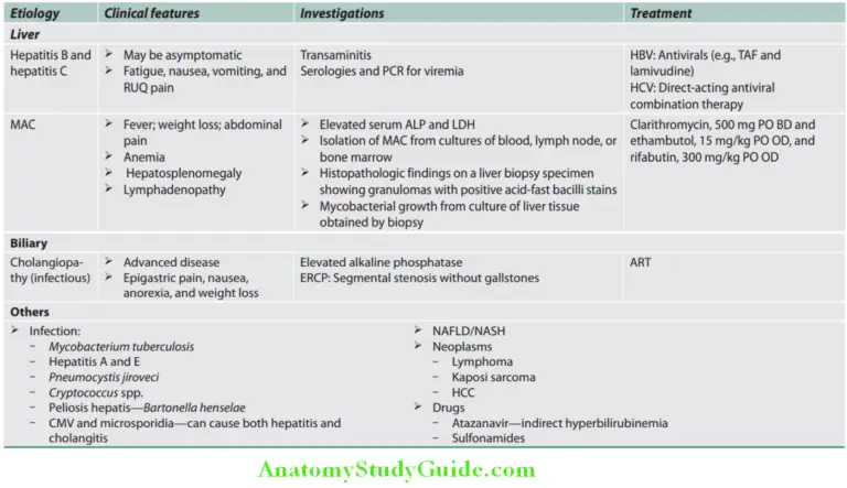 HIV Infection and AIDS Question and Answers - Anatomy Study Guide