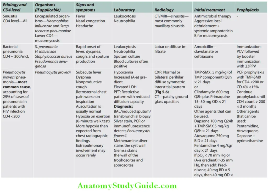 HIV Infection and AIDS Question and Answers - Anatomy Study Guide