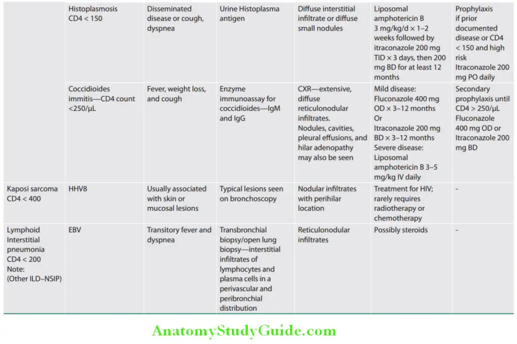 HIV Infection and AIDS Question and Answers - Anatomy Study Guide