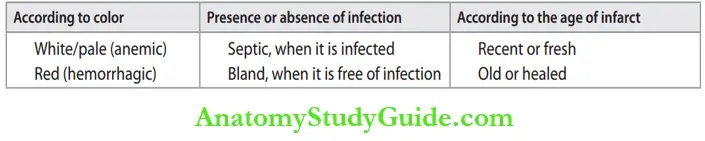 Hemodynamic Disorders Classification Of Infarct