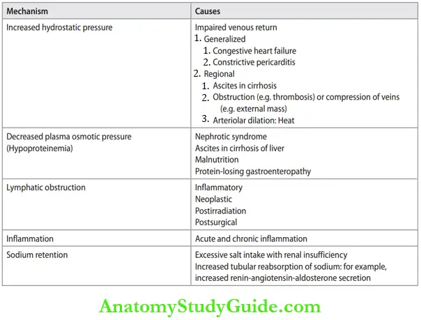 Hemodynamic Disorders Pathology Notes - Anatomy Study Guide