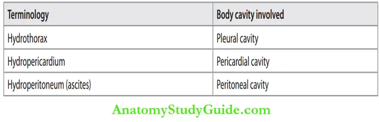 Hemodynamic Disorders Special Forms Of Edema
