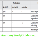 Infections Summary Of Serological Findings In HBV