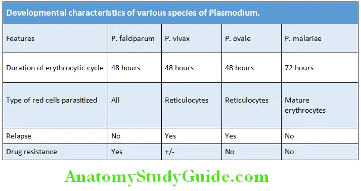 Infectious Diseases Developmental characteristics of various species of Plasmodium