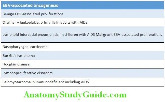 Infectious Diseases EBV-associated oncogenesis