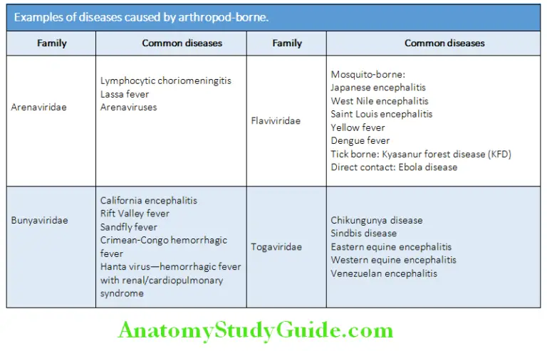 Infectious Diseases Covid-19 Question And Answers - Anatomy Study Guide