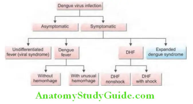 Infectious Diseases Manifestations of dengue infection