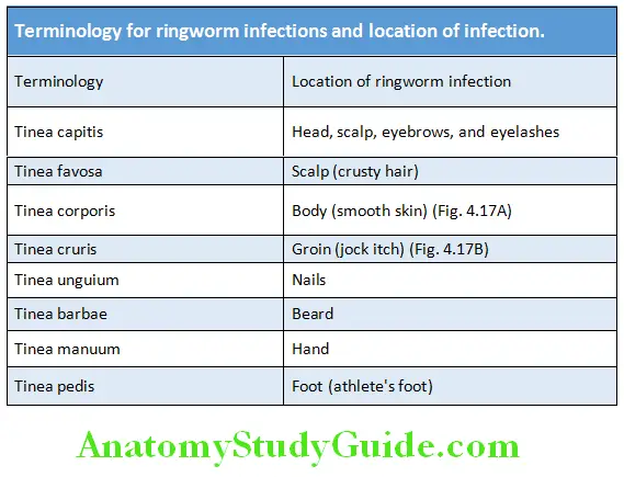 Infectious Diseases Terminology for ringworm infections and location of infection