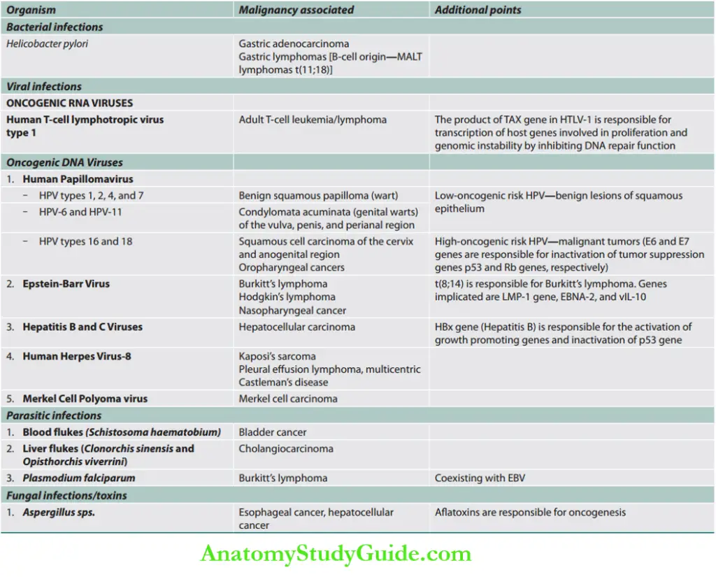 Oncology Question and Answers - Anatomy Study Guide