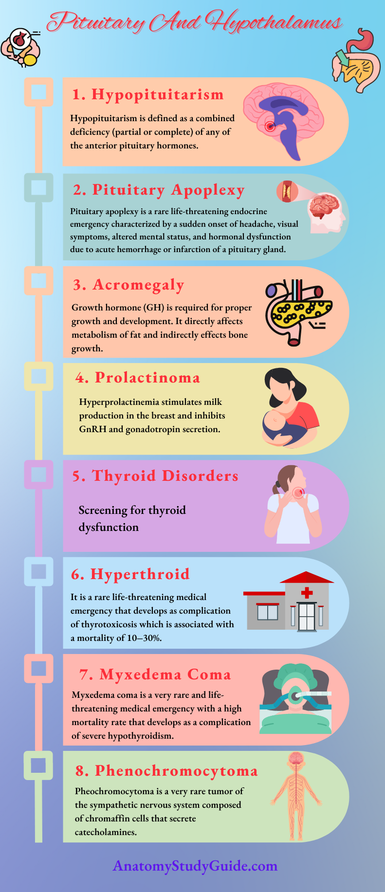 Pituitary And Hypothalamu