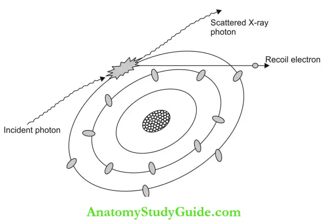 Radiation Physics Question And Answers - Anatomy Study Guide