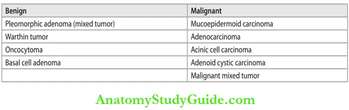 Salivary Glands Classification Of Tumors Of The Salivary Glands