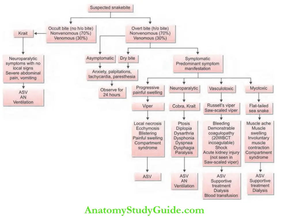 Toxicology ASV antisnake venom