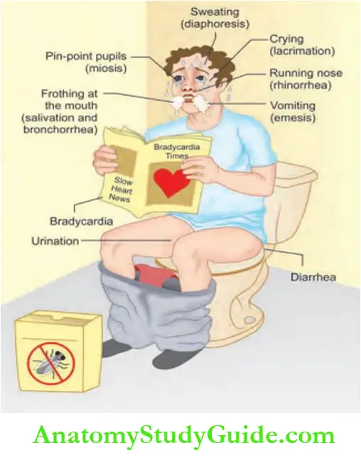 Toxicology Cholonegric toxidrome