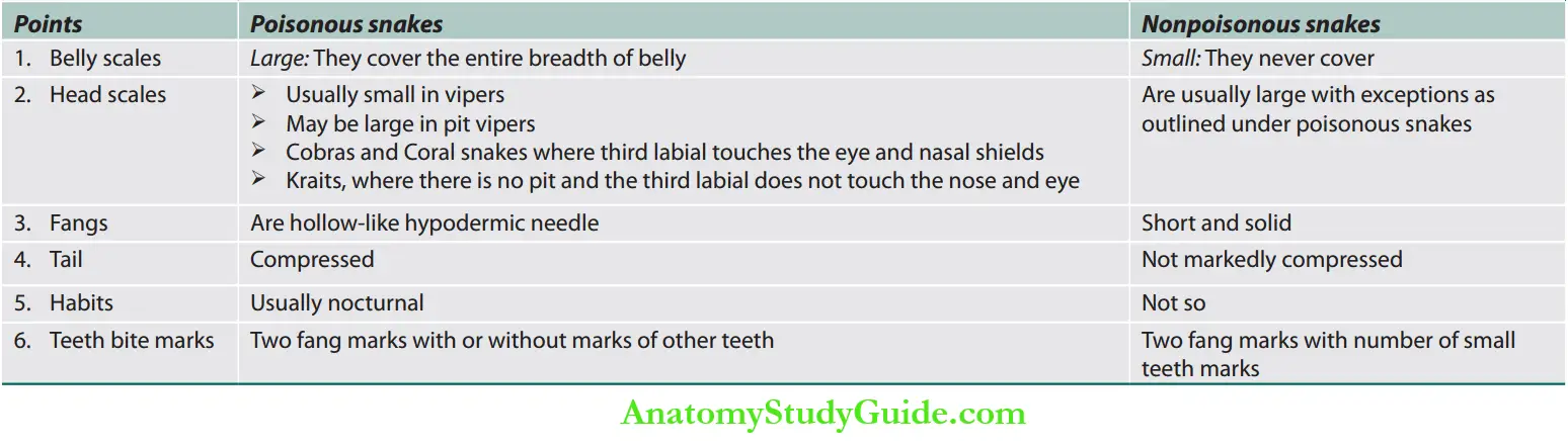 Toxicology Diffrences between poisonous and nonpoisonous snakes