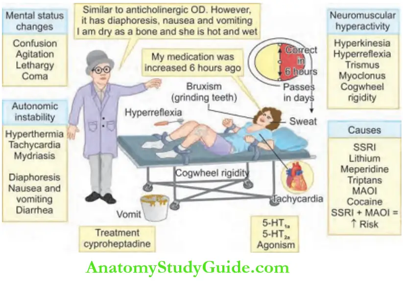 Toxicology Serotonin syndrome