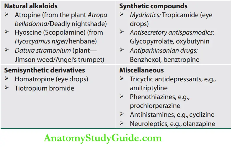 Toxicology various causes of anticholinergic syndrome