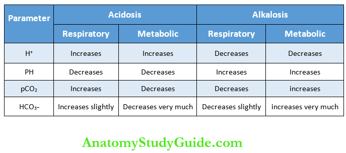 Acid-Base Balance - Anatomy and Physiology Notes - Anatomy Study Guide