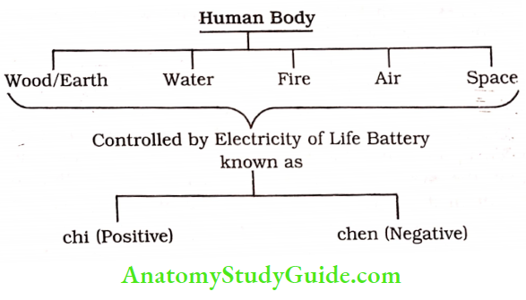 Acupressure Therapy And Practice Human Body