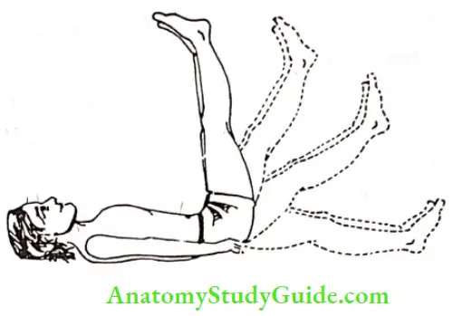 Acupressure Therapy And Practice Lie Down On Your Back Keep The Arms On The Sides And The Head On The Ground