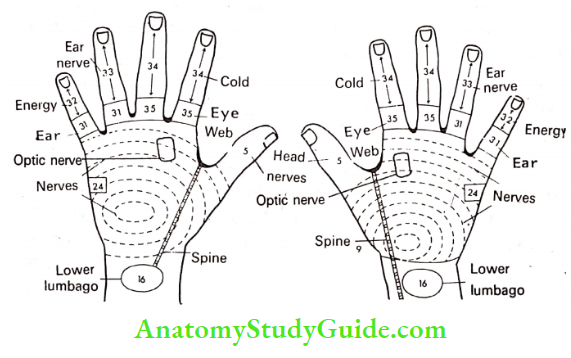 Acupressure Therapy And Practice Methods Of Pressure