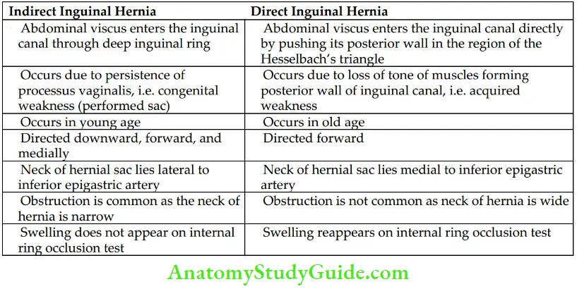 Anterior Abdominal Wall Difference Between The Indirect And Direct Ingunial Hernias