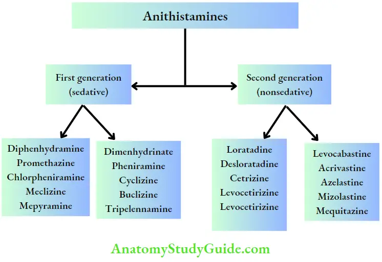Autacoids Antihistamines Completitively Block