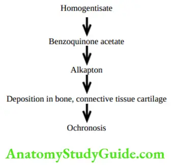 Biochemistry Benzoquinone acetate